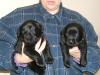Look at these sweet babies!