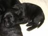 I'm sooooo tired!