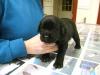 Look at me, I'm a big boy!