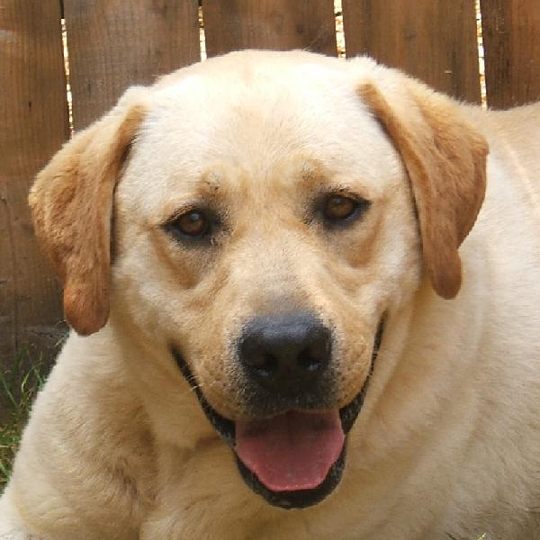 Sam